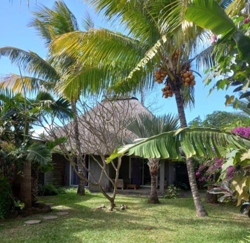 Brahmanhut - Eco Hut Experience In Harmony With Nature, Wellbeing And Spirit Bain Boeuf Eksteriør billede