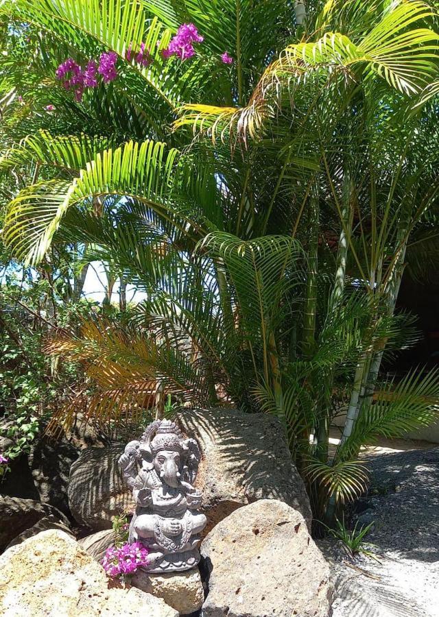 Brahmanhut - Eco Hut Experience In Harmony With Nature, Wellbeing And Spirit Bain Boeuf Eksteriør billede